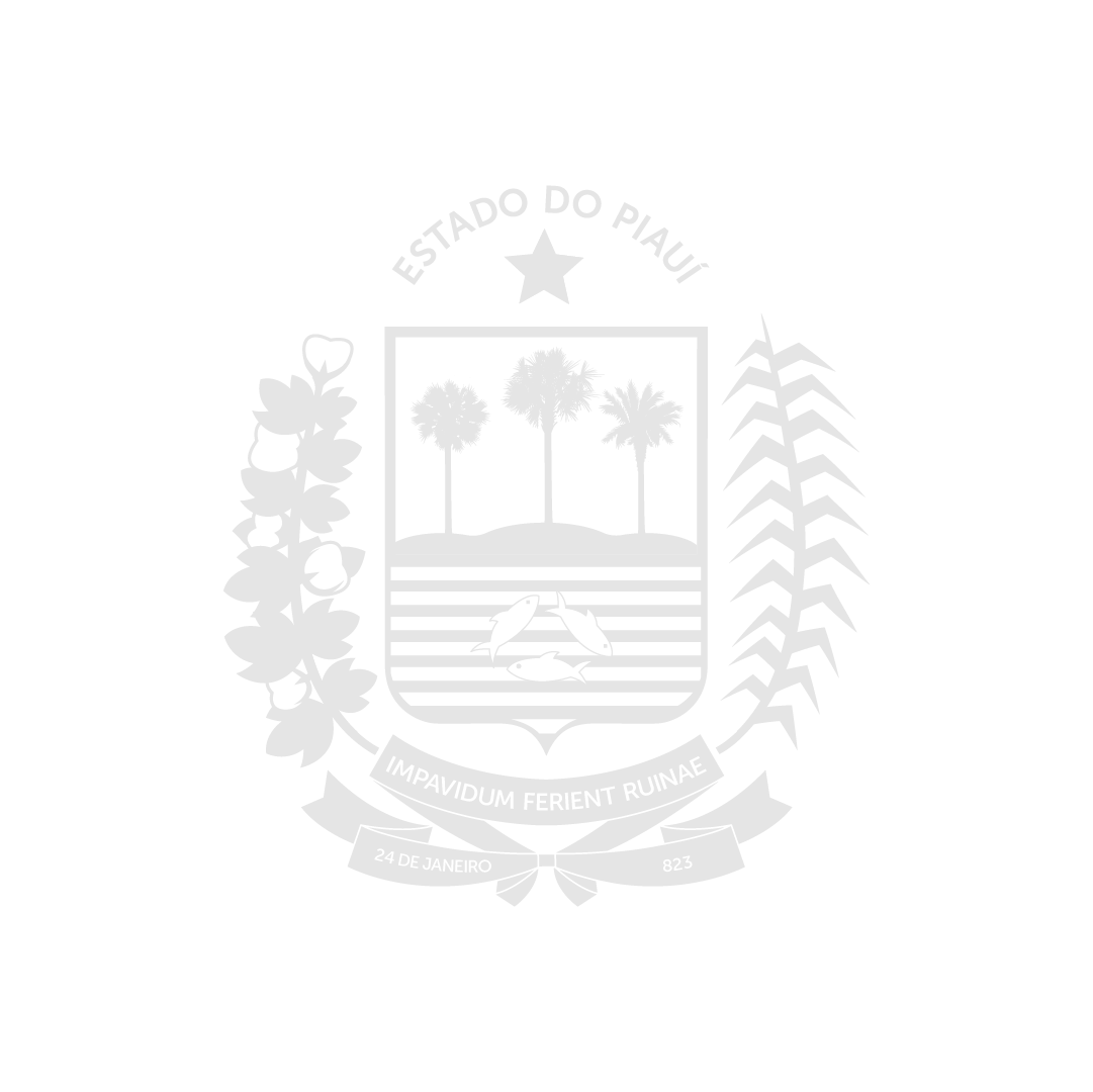 Governo do Piauí